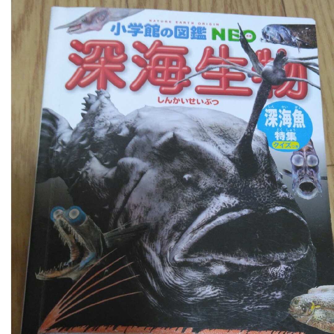 小学館の図鑑NEO「深海生物」 エンタメ/ホビーの本(絵本/児童書)の商品写真