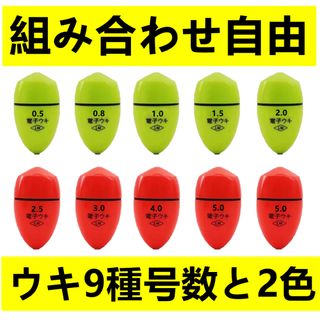 15個   電気ウキセット   電子ウキ    ふかせウキ  (釣り糸/ライン)