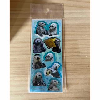 鳥羽水族館　メイ　キラ　ラッコ　シール(シール)