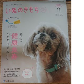 ベネッセ(Benesse)のいぬのきもち11 月号付録つき(犬)