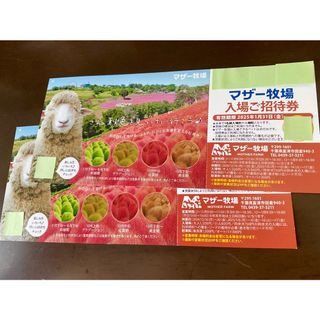 ’25 /１.31 迄 ⭐︎ 千葉県 マザー牧場 ⭐︎ 入園券２枚 set！(動物園)