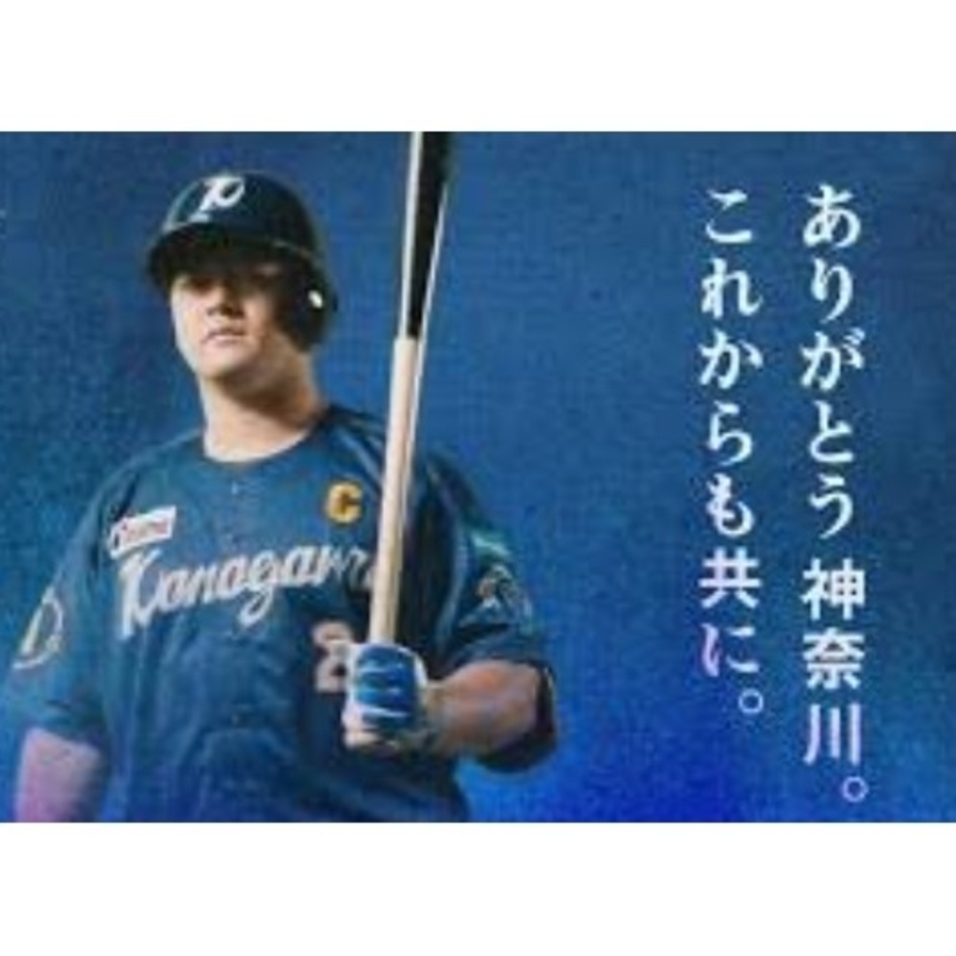 横浜DeNAベイスターズ - 【限定30選手】横浜DeNAベイスターズ 横浜DeNAベイスターズ - 【限定30選手】横浜DeNAベイスターズ