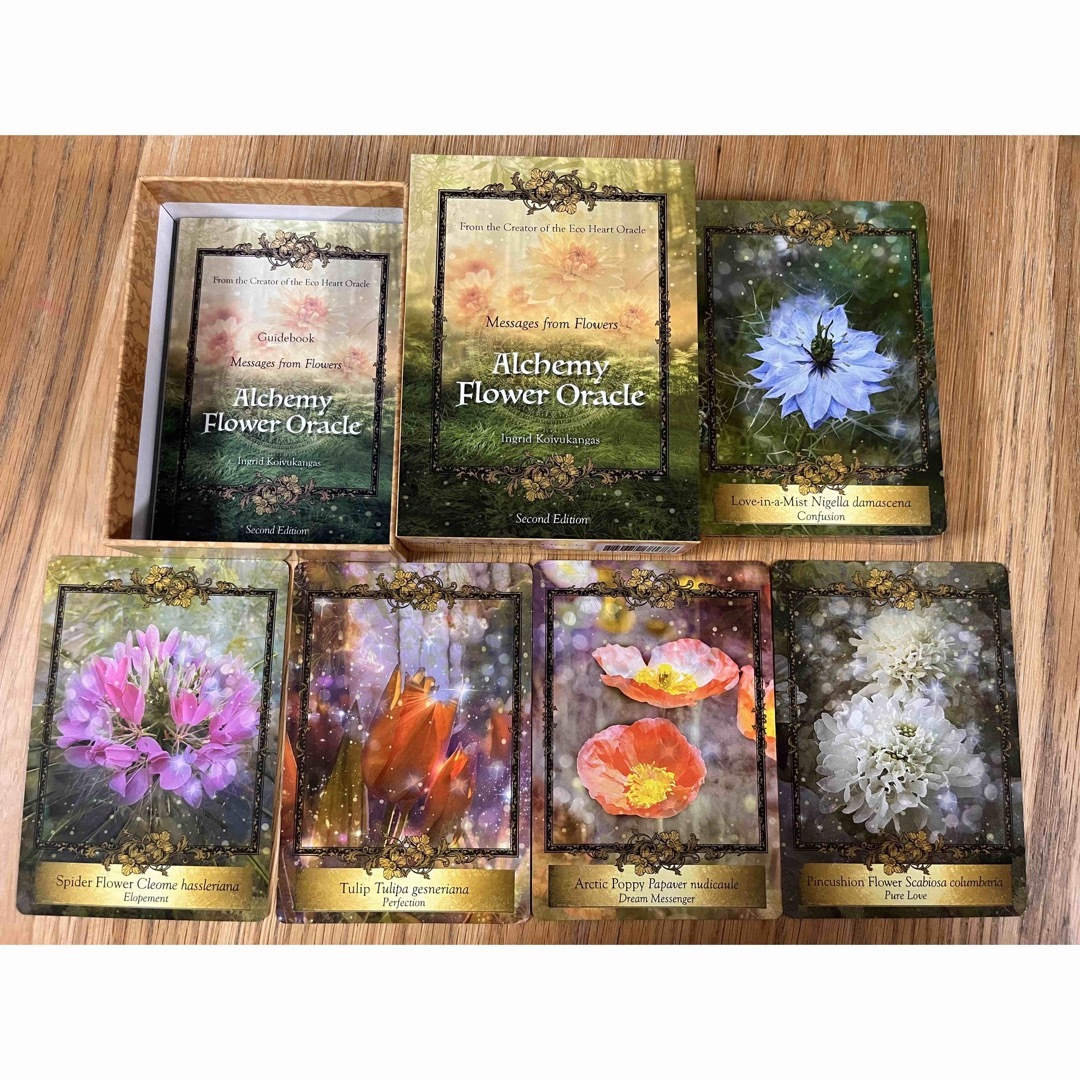 希少 Alchemy Flower Oracle オラクルカード 金縁 希少 Alchemy Flower Oracle オラクルカード 金縁