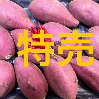 特売です!　モンブランみたいなサツマイモ「あまはずき」コンパクトボックスいっぱい(野菜)