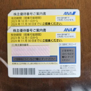 エーエヌエー(ゼンニッポンクウユ)(ANA(全日本空輸))のANA 株主優待券 2枚(その他)
