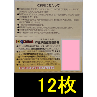 東急 株主映画鑑賞優待券 12枚 2024年11月期限 -d(その他)