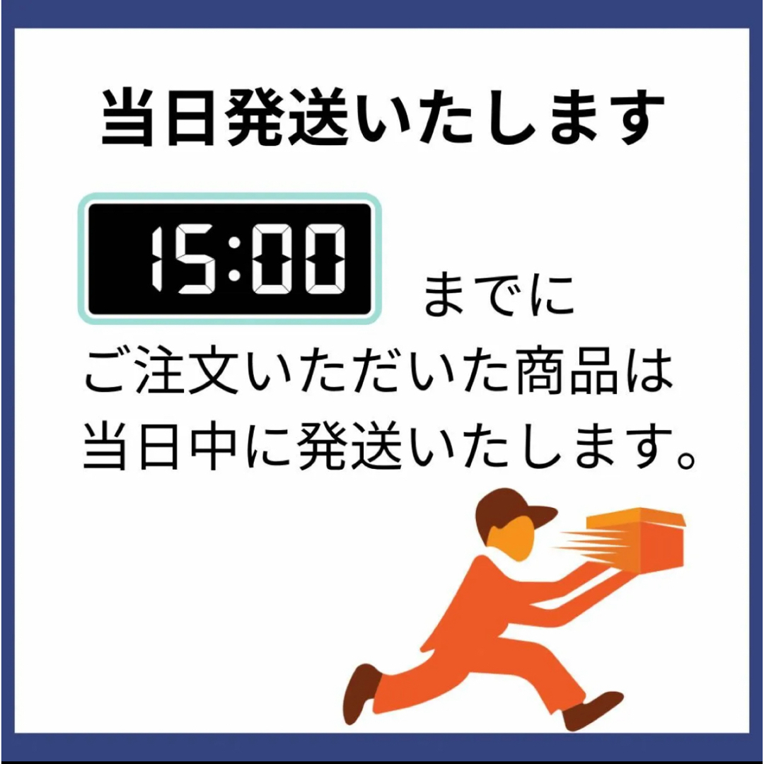 レゴ ハリー・ポッター 三大魔法学校対抗試合：到着 76440 LEGO