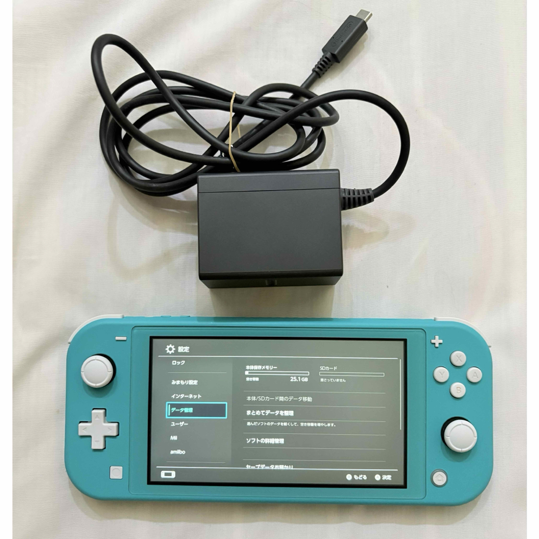 Nintendo Switch Lite ターコイズ本体 ACアダプター付き Nintendo Switch Lite ターコイズ本体 ACアダプター付き