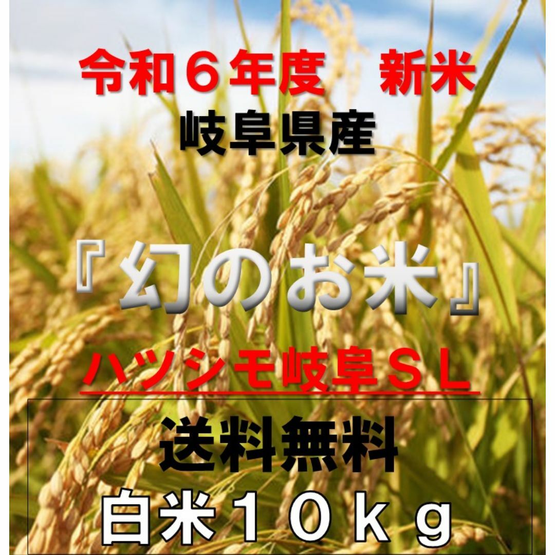 岐阜ブランド米 令和6年度『岐阜ハツシモ』新米 白米(玄米可)10 岐阜ブランド米 令和6年度『岐阜ハツシモ』新米 白米(玄米可)10