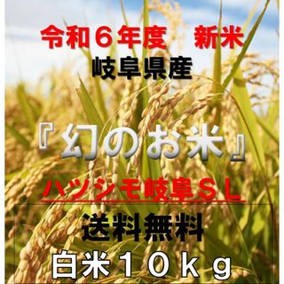 岐阜ブランド米　令和６年度『岐阜ハツシモ』新米　白米(玄米可)10キロ送料無料(米/穀物)