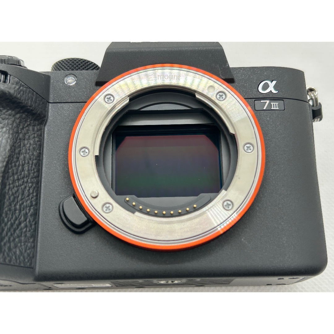 海外仕様 ショット数421枚】SONY α7 III 海外仕様 ショット数421枚】SONY α7 III