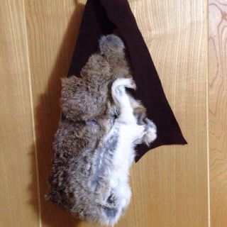 ゴア(goa)の値下げgoa♡ファーベルト(ベルト)