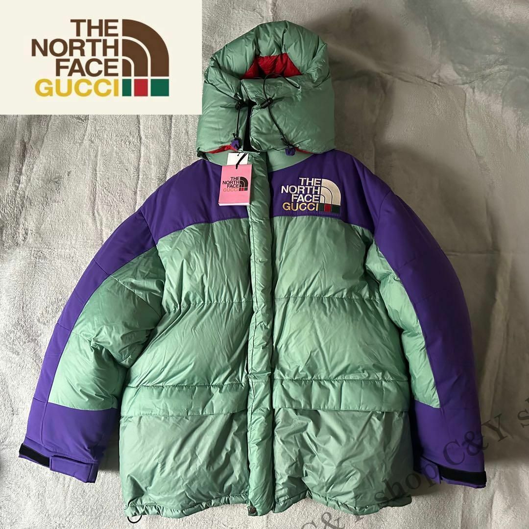 GUCCI - GUCCI THE NORTH FACE グッチノースフェイス ダウン GUCCI - GUCCI THE NORTH FACE グッチノースフェイス ダウン