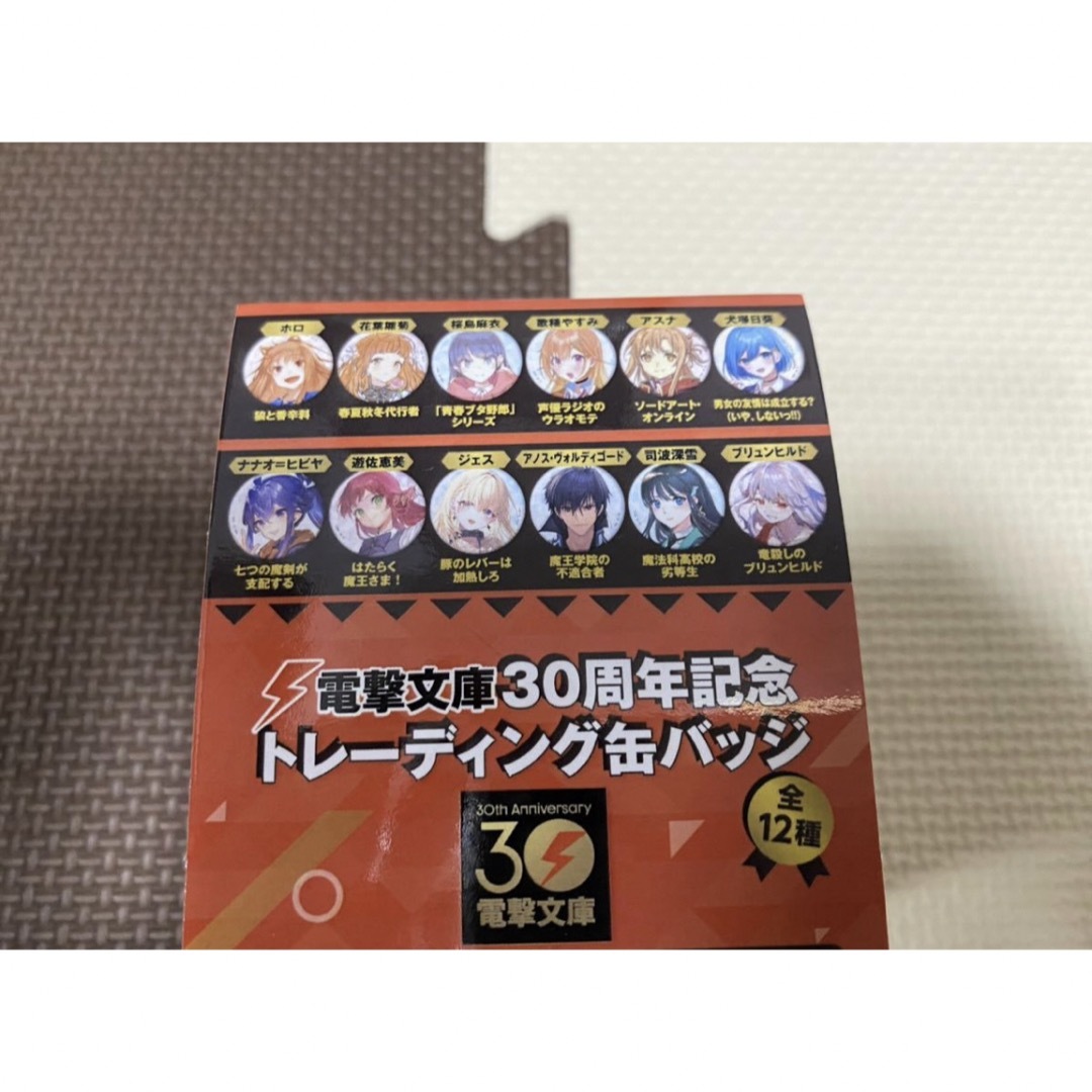 狼と香辛料 電撃文庫 30周年記念 トレーディング 缶バッジ 全12 狼と香辛料 電撃文庫 30周年記念 トレーディング 缶バッジ 全12