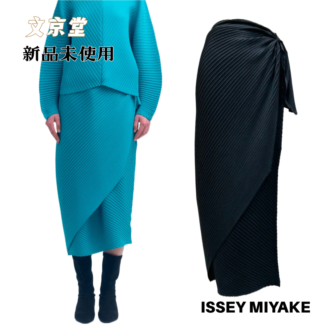 ISSEY MIYAKE - ISSEY MIYAKE VIGOR PLEATS SOLIDロングスカード ISSEY MIYAKE - ISSEY MIYAKE VIGOR PLEATS SOLIDロングスカード