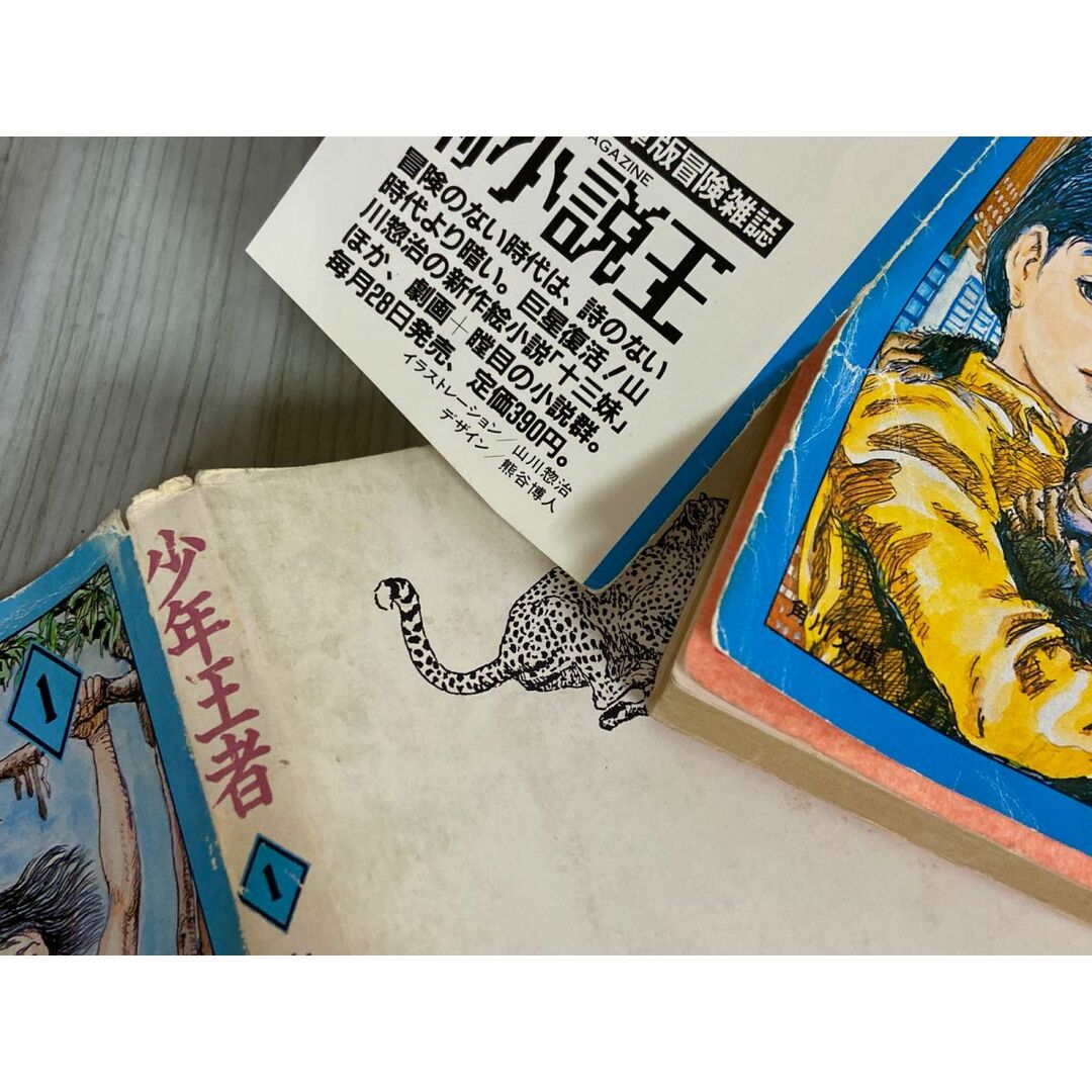 3-△全10巻セット 少年王者 山川惣治 第9巻カバー欠 昭和59年 3-△全10巻セット 少年王者 山川惣治 第9巻カバー欠 昭和59年