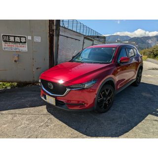 BLITZ 脂っこい 車高調 デミオ/DJ3FS/DJ5FS/DJLFS BLITZ 脂っこい 車高調 デミオ/DJ3FS/DJ5FS/DJLFS