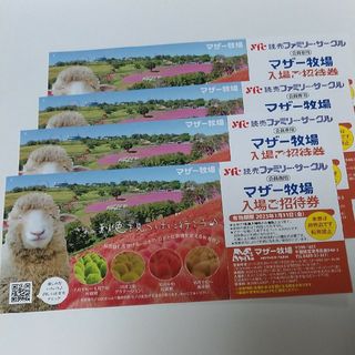 マザー牧場 入場ご招待券 4枚セット(遊園地/テーマパーク)
