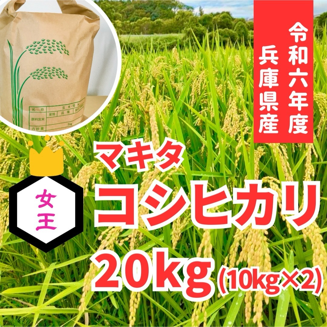 R6 兵庫県産コシヒカリ 20kg(10kg×2) 山の湧き水で育てた農家 R6 兵庫県産コシヒカリ 20kg(10kg×2) 山の湧き水で育てた農家