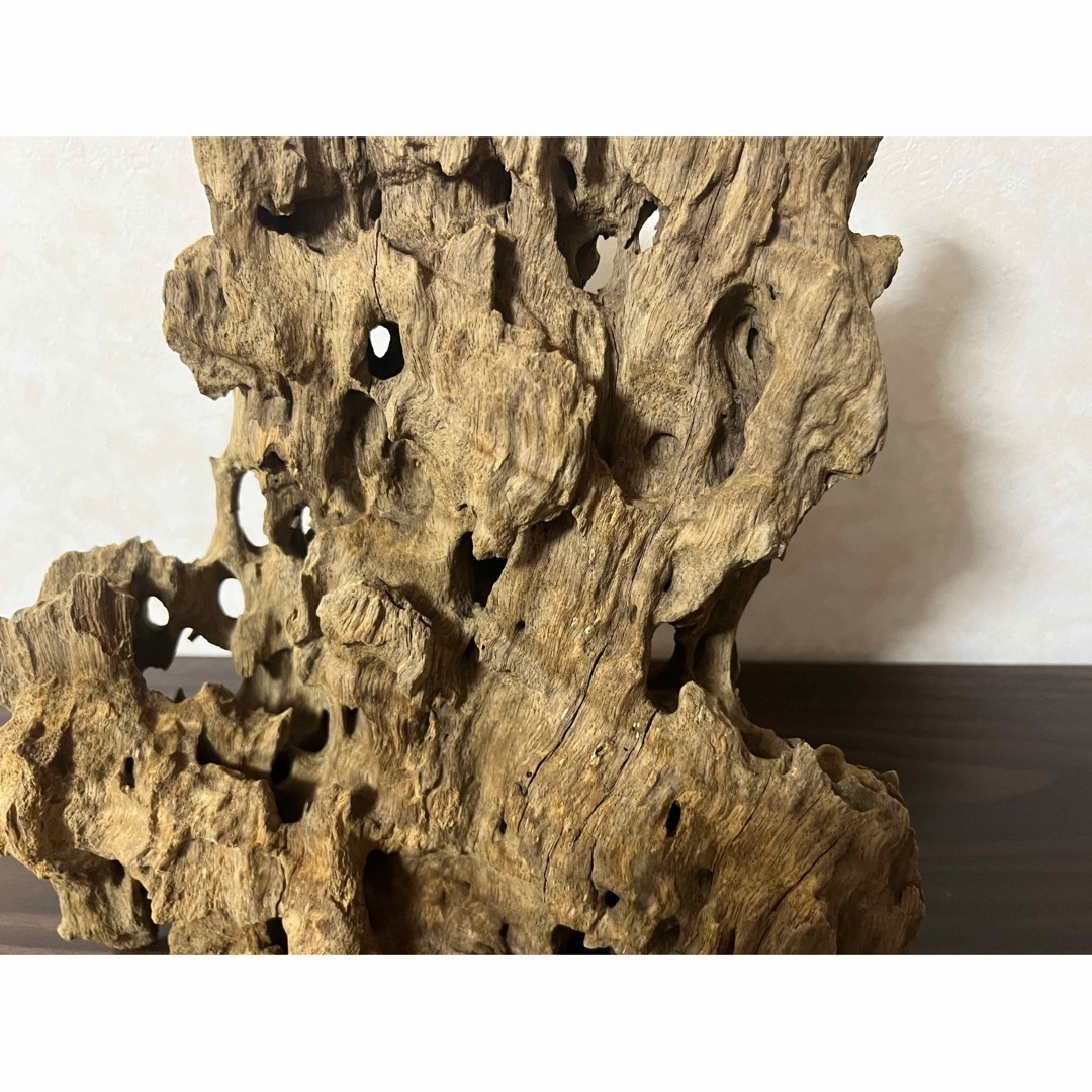 XM-350 流木 マシンガンウッド アクアリウム ブランチウッド XM-350 流木 マシンガンウッド アクアリウム ブランチウッド