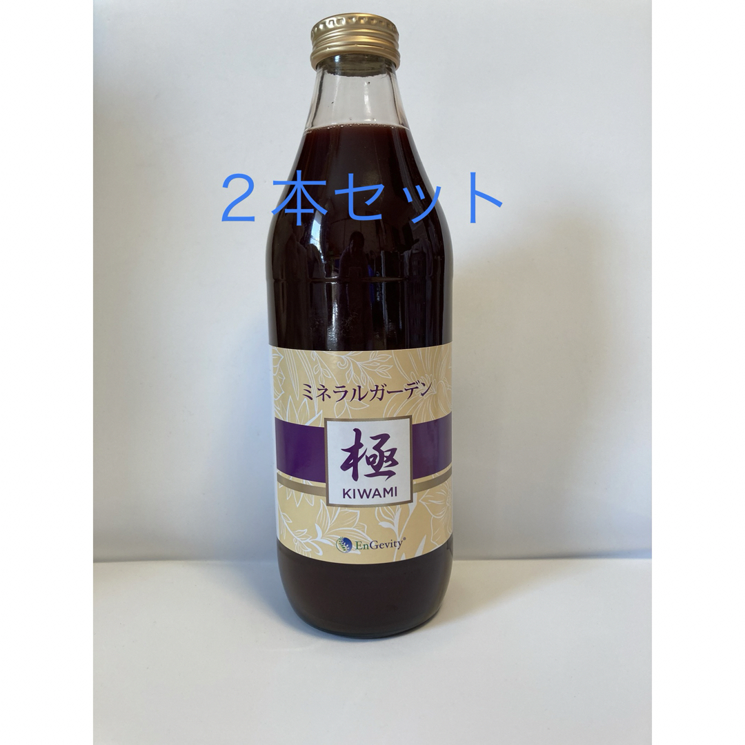ミネラルガーデン極(フルボ酸と野菜果物のミックス)1000ml 2本セット ミネラルガーデン極(フルボ酸と野菜果物のミックス)1000ml 2本セット