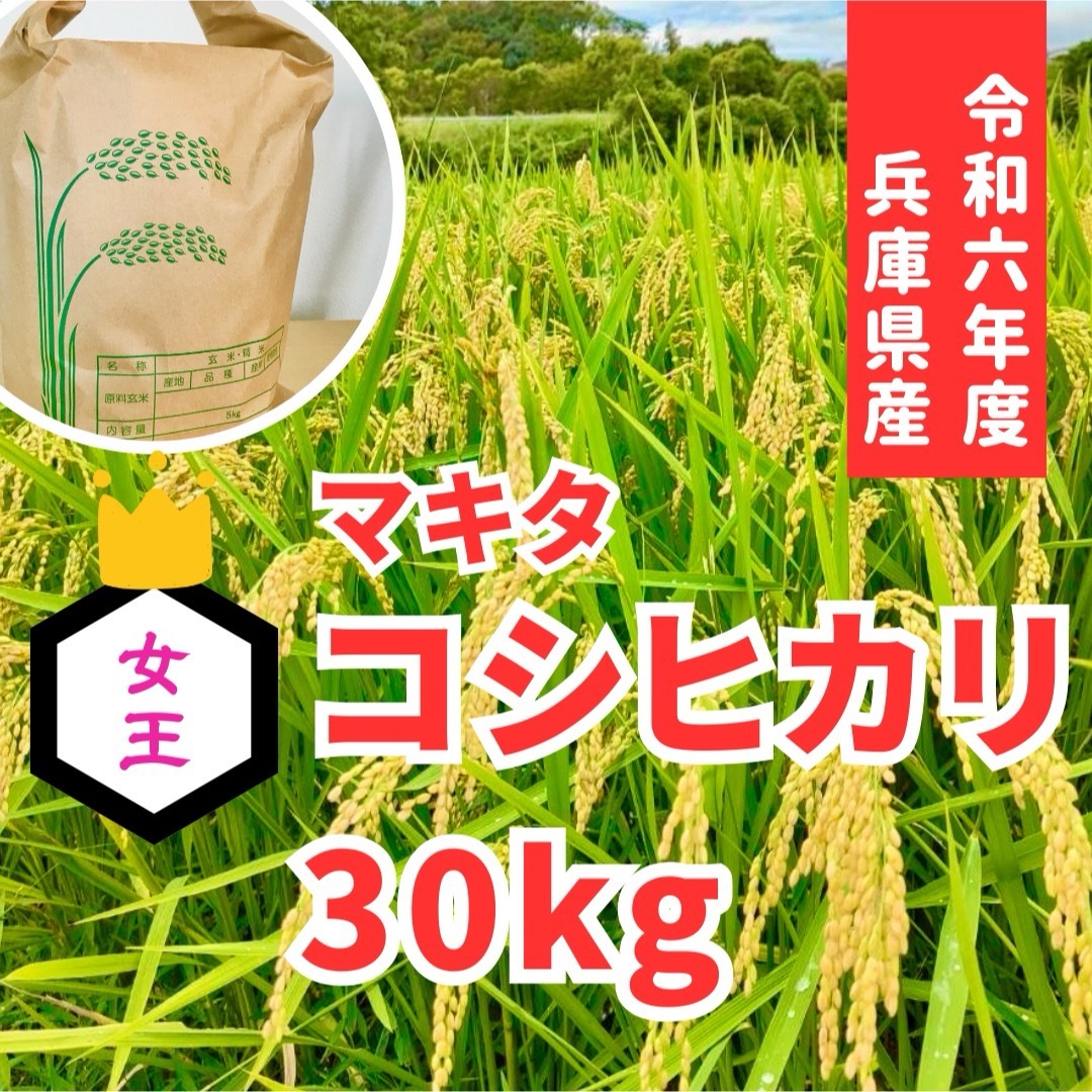 令和6年 兵庫県産コシヒカリ 30kg 山の湧き水で育てた農家 令和6年 兵庫県産コシヒカリ 30kg 山の湧き水で育てた農家
