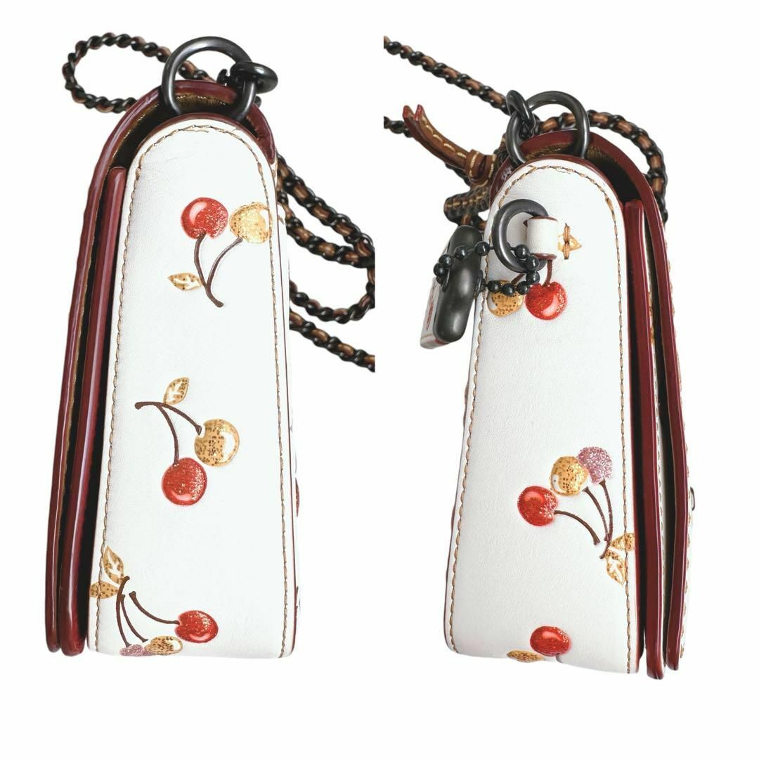 COACH - 【新品未使用】【COACH】ディンキーグラブタン レザー COACH - 【新品未使用】【COACH】ディンキーグラブタン レザー