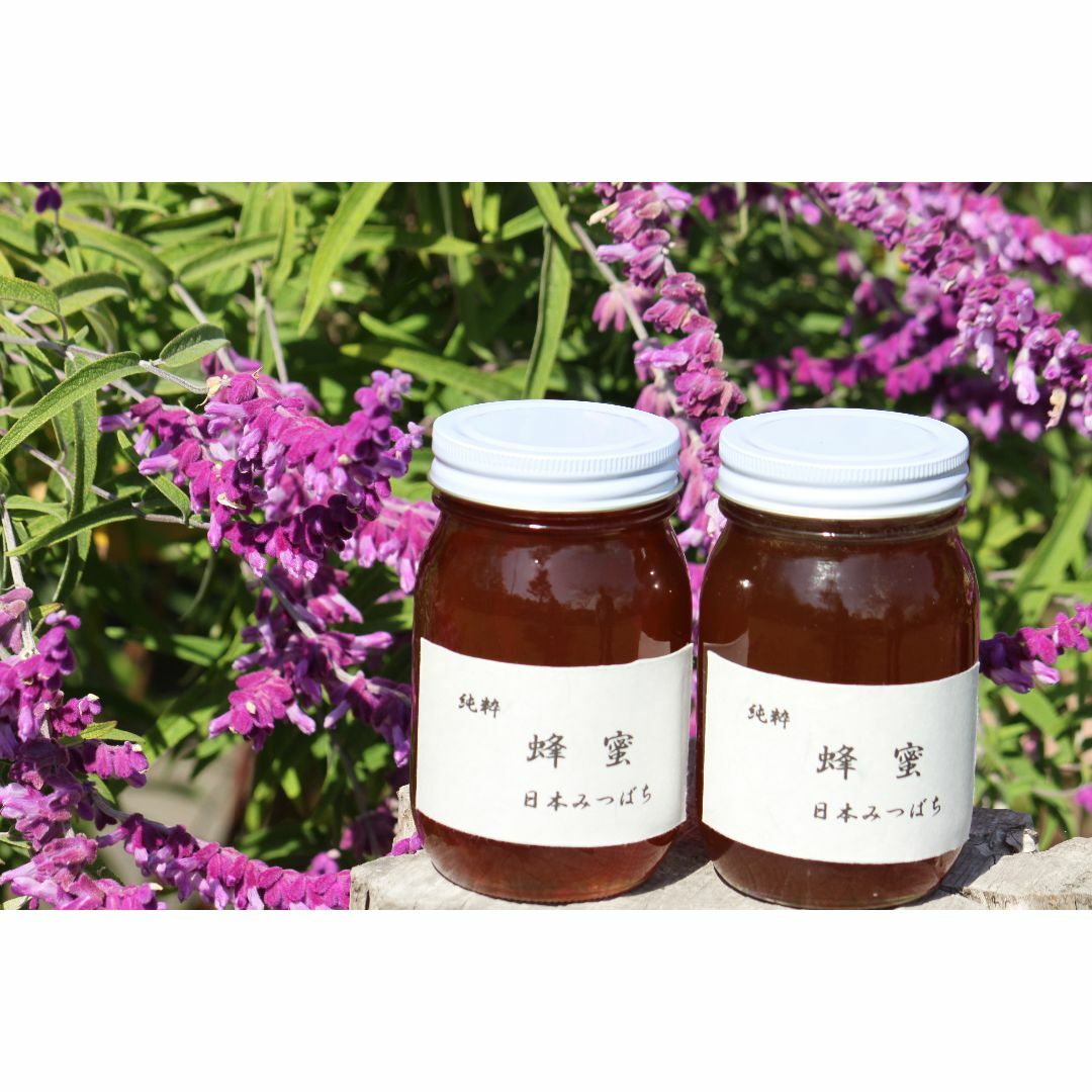 純粋　日本はちみつ600g2本