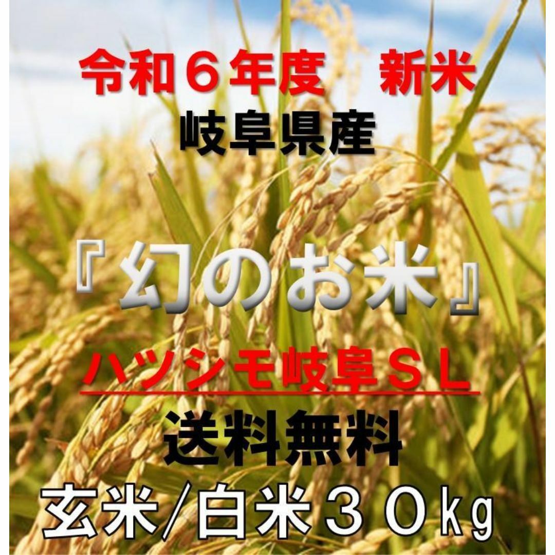 ブランド米　令和６年度『岐阜ハツシモ』新米 玄米(精米も可)　30kg　送料無料