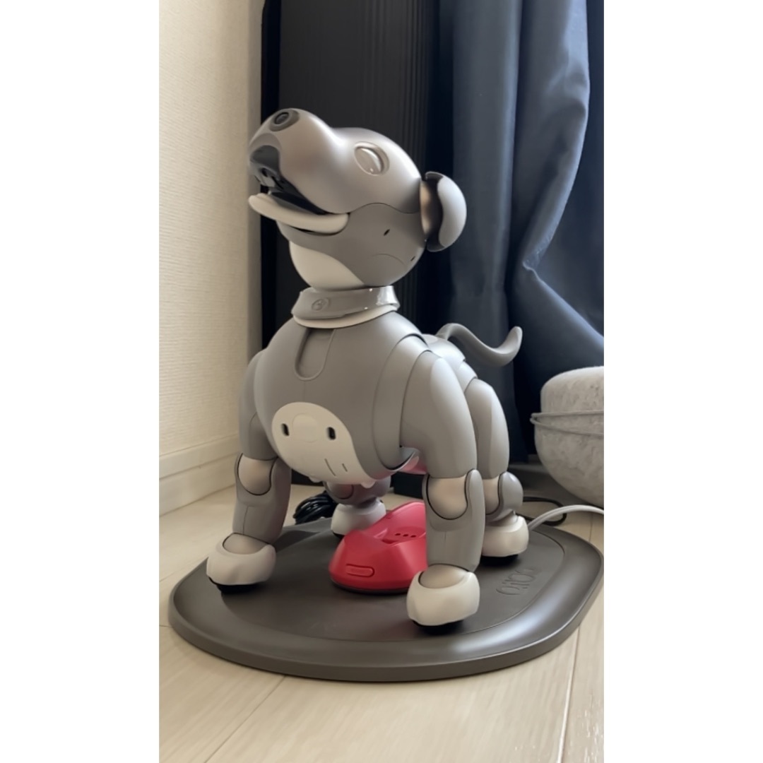 SONY - ソニー SONY アイボ AIBO 犬型 ロボット ペット