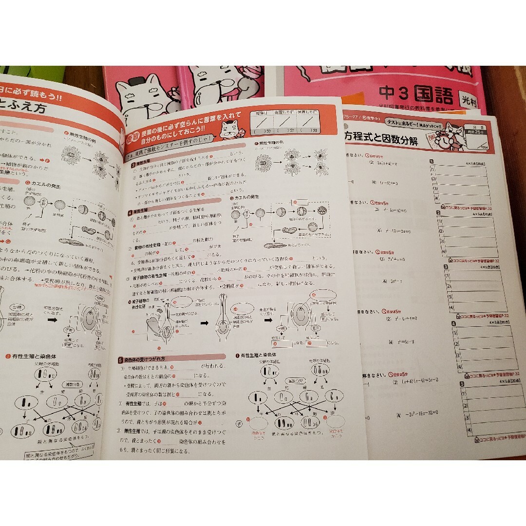 家庭教師 教材 中3 まとめ 家庭教師 教材 中3 まとめ
