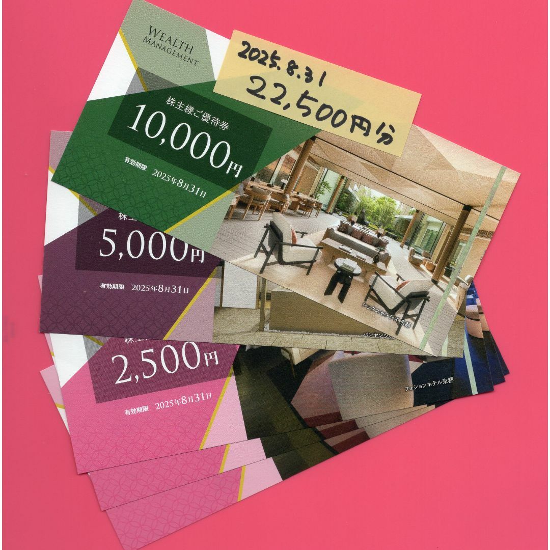 ウェルスマネジメント 株主優待 22500円 期限25/8末 ウェルスマネジメント 株主優待 22500円 期限25/8末