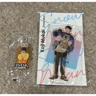スノーマン(Snow Man)の向井康二 アクスタ　Snowman(アイドルグッズ)