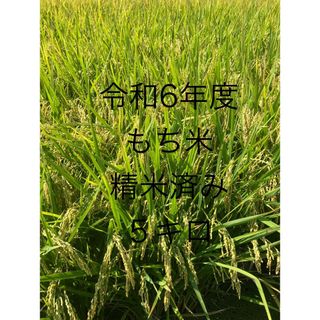 新米 令和6年 栃木県産 もち米　　精米済み5キロ(米/穀物)