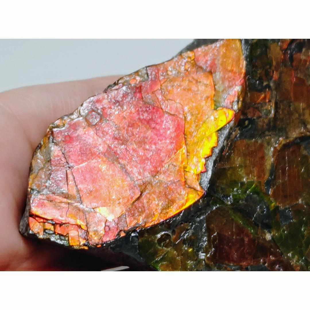 アンモライト 286g 化石 アンモナイト 水晶 鑑賞石 原石 自然石 宝石