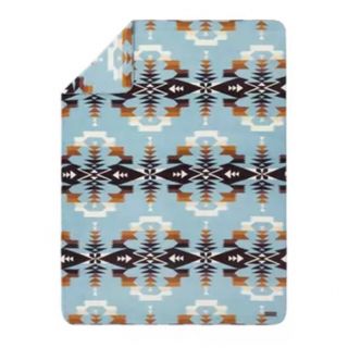 PENDLETON - 早い者勝ち大人気‼︎即完売品‼︎PENDLETON大判 PENDLETON - 早い者勝ち大人気‼︎即完売品‼︎PENDLETON大判