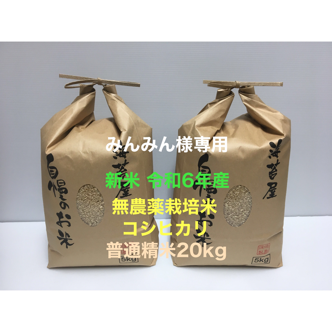 みんみん 無農薬コシヒカリ普通精米20kg(5kg×4)令和6年産 新米