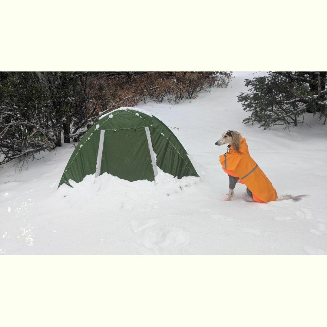 色:黄】Clostnature テント 2人用 キャンプ 冬用テント - 軽量の 色:黄】Clostnature テント 2人用 キャンプ 冬用テント - 軽量の