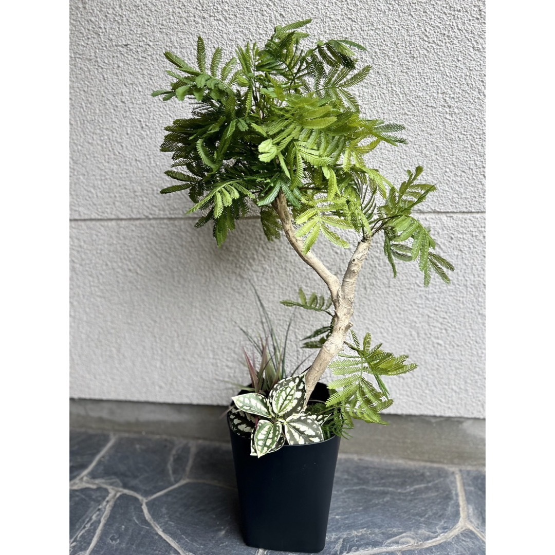 光触媒 人工観葉植物 ウォールグリーン フェイクグリーン 光触媒 人工観葉植物 ウォールグリーン フェイクグリーン
