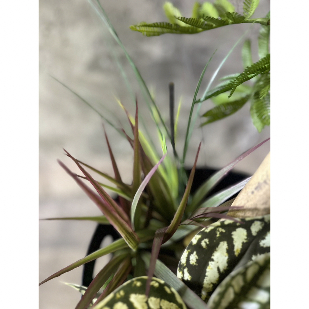 光触媒 人工観葉植物 ウォールグリーン フェイクグリーン 光触媒 人工観葉植物 ウォールグリーン フェイクグリーン