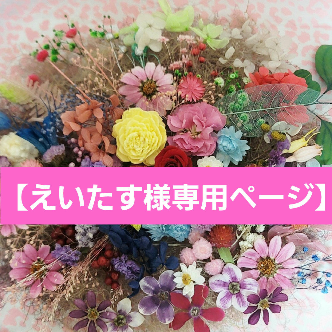 【えいたす様専用】ドライフラワー花材(花色) ハンドメイドのフラワー/ガーデン(ドライフラワー)の商品写真