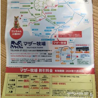 マザー牧場　幼稚園児・保育園児　入場無料券(動物園)