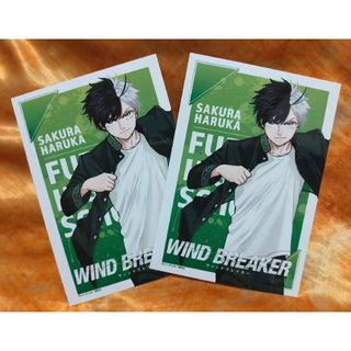 ✳桜遥 ウィンドブレイカー オリジナルブロマイド SEGA限定２点セット✳(その他)