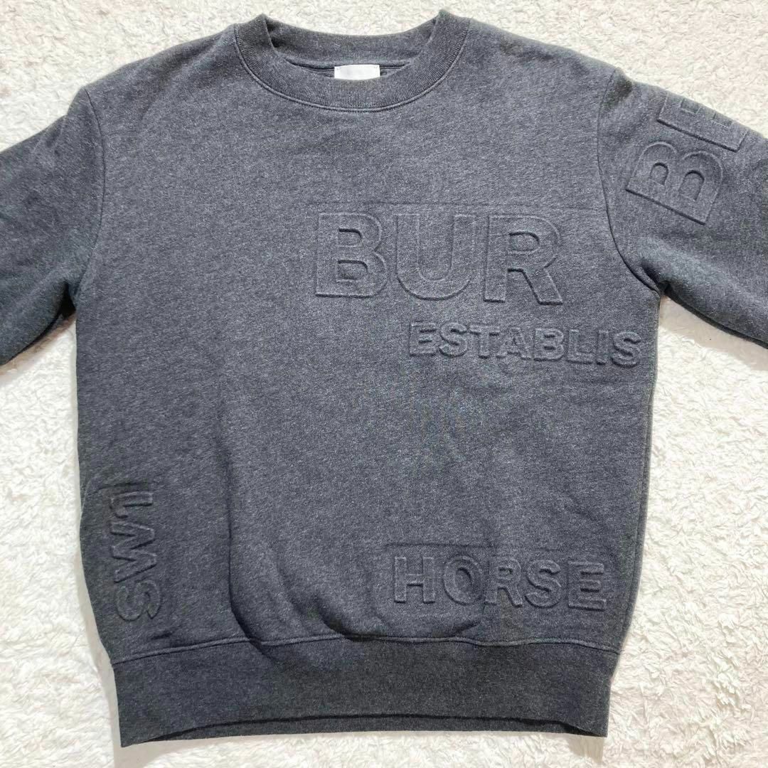 BURBERRY - 【極美品】BURBERRY スウェット トレーナー 長袖 BURBERRY - 【極美品】BURBERRY スウェット トレーナー 長袖