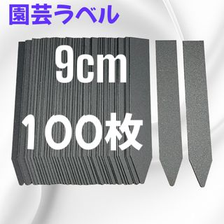 【匿名配送】園芸ラベル プランツタグ  黒 ブラック 9cm  ガーデニング(その他)
