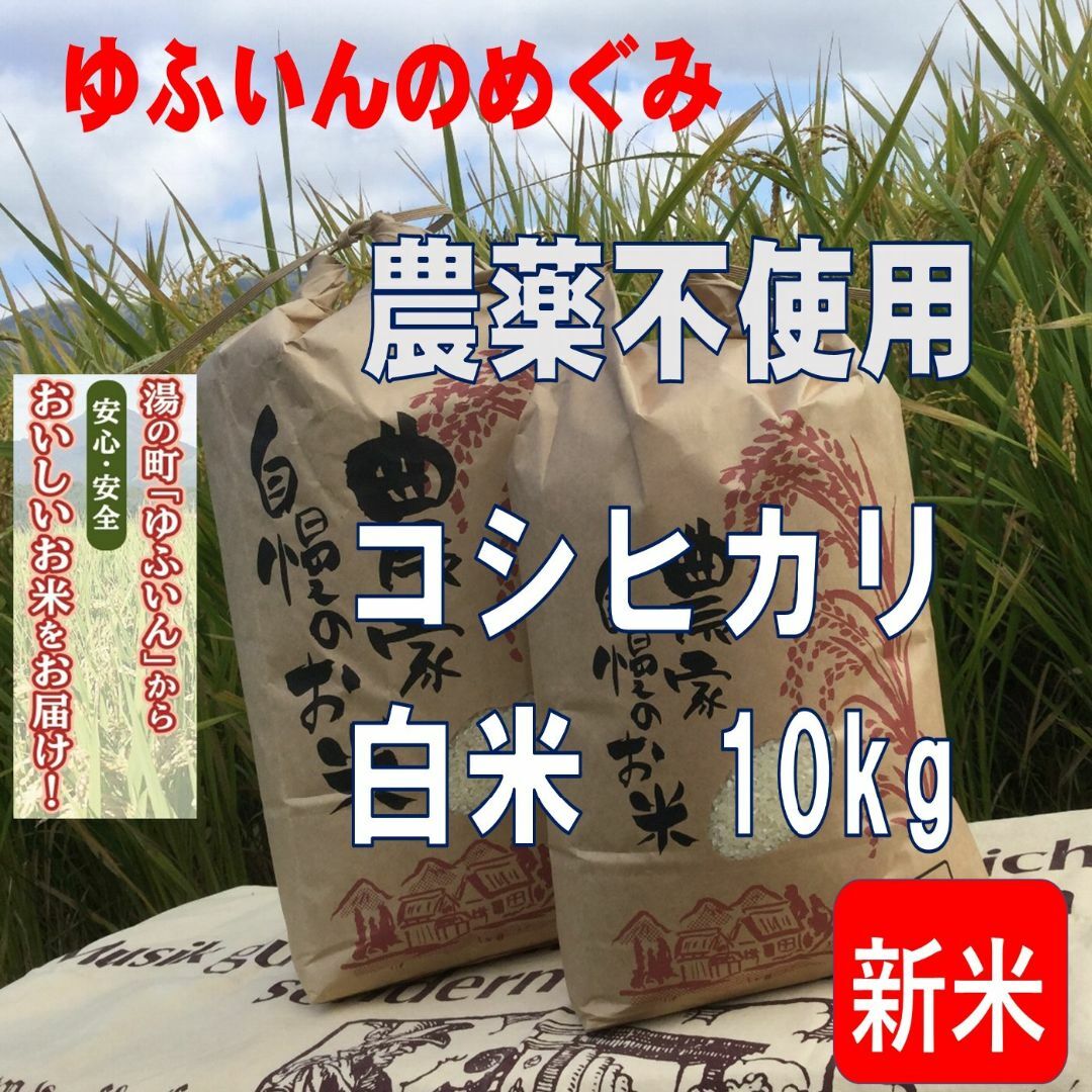 人気定番の やまっち様専用！ブレンド米25kg！ 米・雑穀・粉類