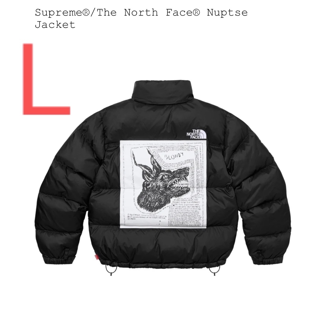 Supreme x The North Face Nuptse Jacket