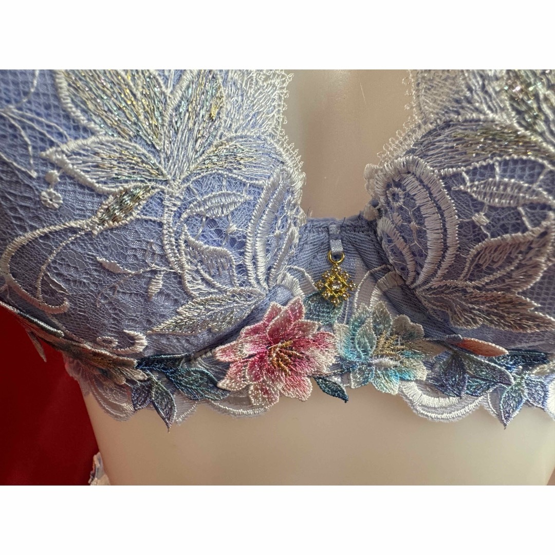Wacoal - サルート 09グループ インドの花嫁 D75&M&M PU 店舗 Wacoal - サルート 09グループ インドの花嫁 D75&M&M PU 店舗