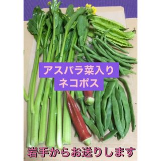 アスパラ菜入り　お野菜おまかせ　ネコポス(野菜)