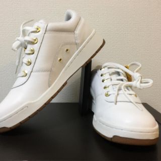 ティンバーランド(Timberland)のティンバーランド メンズスニーカー(スニーカー)